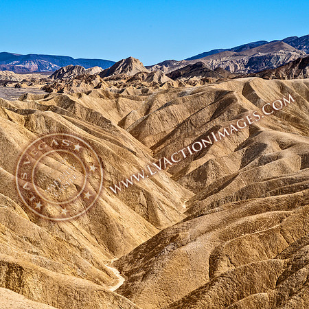 20220226-DeathValley2022-119a