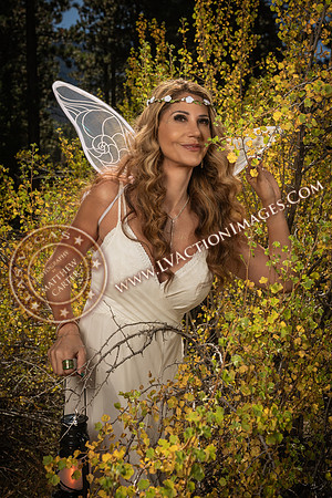 20251005-_CMU_Fairies_19