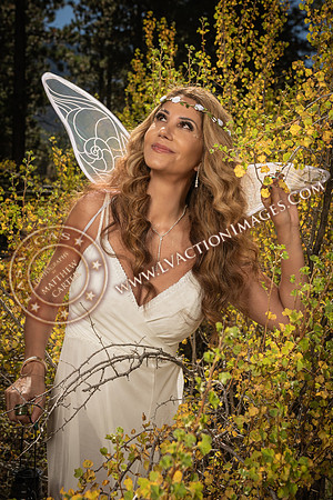 20251005-_CMU_Fairies_20