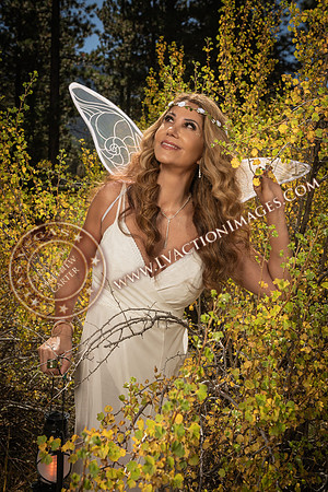 20251005-_CMU_Fairies_21