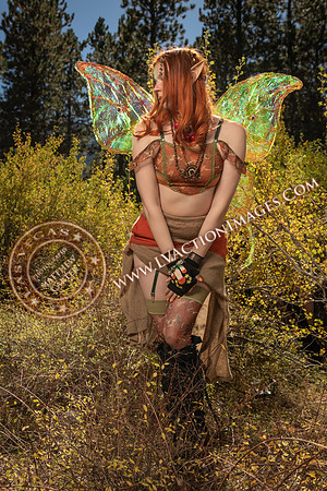 20251005-_CMU_Fairies_41