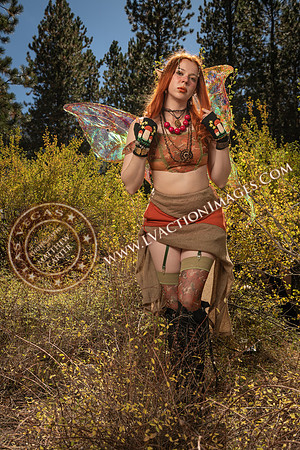 20251005-_CMU_Fairies_42