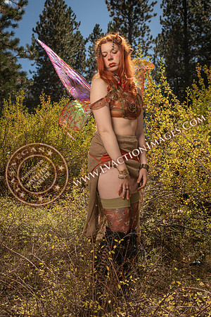 20251005-_CMU_Fairies_48