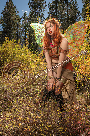 20251005-_CMU_Fairies_53
