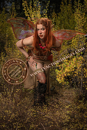 20251005-_CMU_Fairies_56