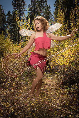 20251005-_CMU_Fairies_59