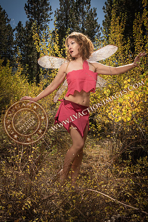 20251005-_CMU_Fairies_60