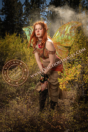 20251005-_CMU_Fairies_74