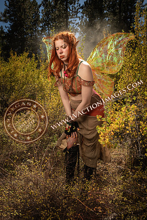20251005-_CMU_Fairies_76