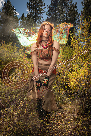 20251005-_CMU_Fairies_78