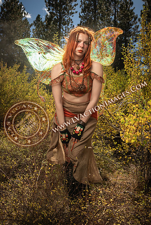 20251005-_CMU_Fairies_79