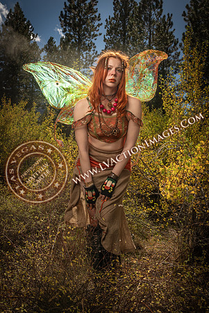 20251005-_CMU_Fairies_80