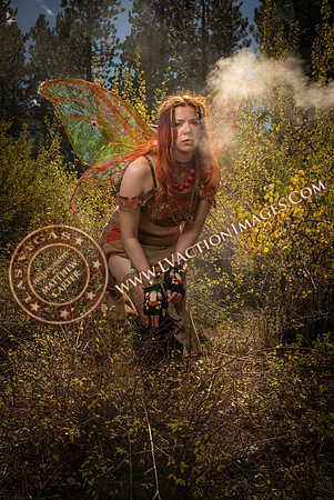 20251005-_CMU_Fairies_82