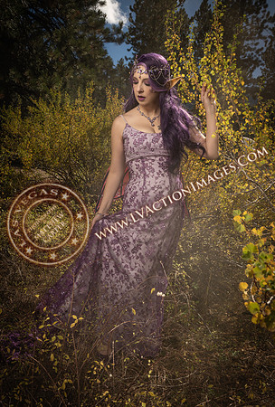 20251005-_CMU_Fairies_101