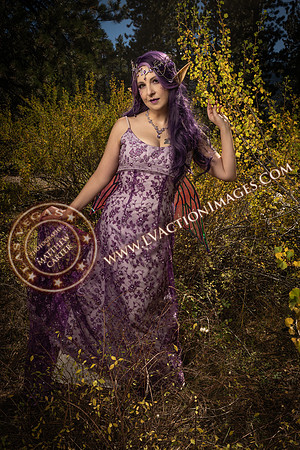 20251005-_CMU_Fairies_104