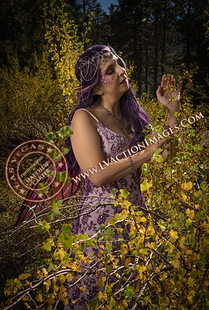 20251005-_CMU_Fairies_108