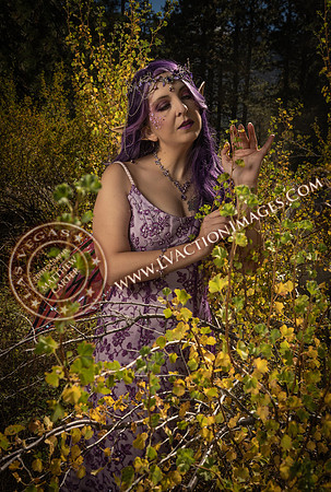 20251005-_CMU_Fairies_109
