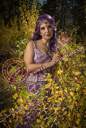 20251005-_CMU_Fairies_110