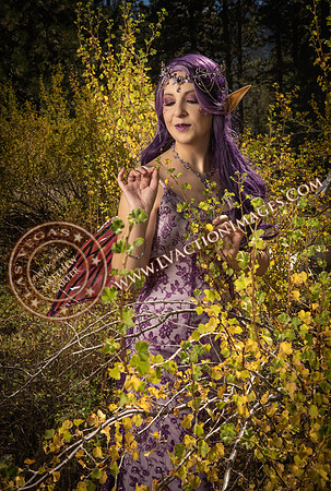 20251005-_CMU_Fairies_111