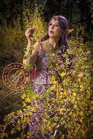 20251005-_CMU_Fairies_112