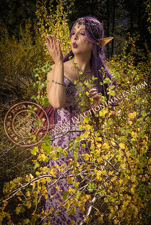 20251005-_CMU_Fairies_113
