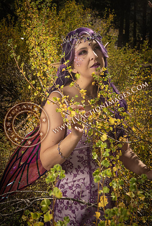 20251005-_CMU_Fairies_116