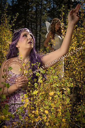 20251005-_CMU_Fairies_117