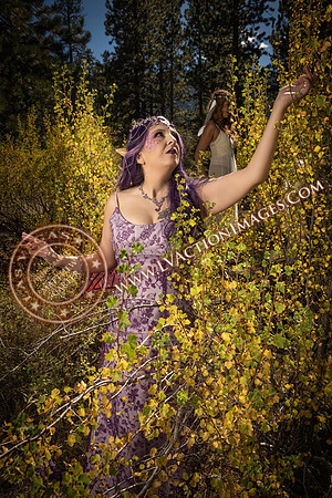 20251005-_CMU_Fairies_118