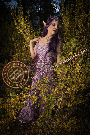 20251005-_CMU_Fairies_124