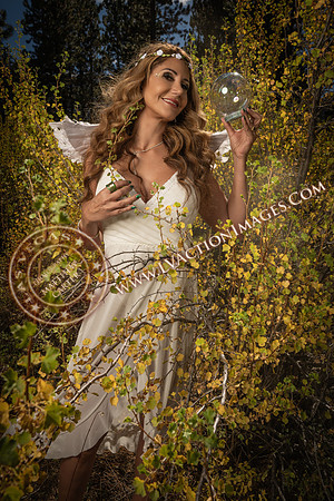 20251005-_CMU_Fairies_129