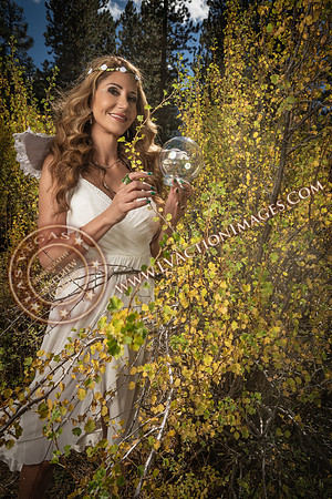 20251005-_CMU_Fairies_134