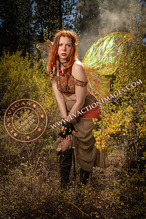 20251005-_CMU_Fairies_73