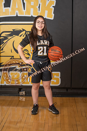 ClarkJVWomenBBall_029