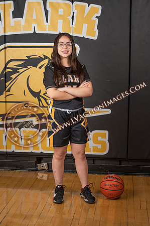 ClarkJVWomenBBall_031