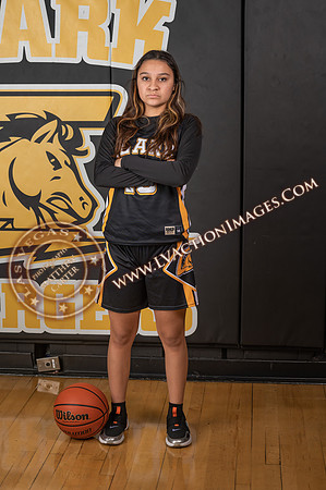 ClarkJVWomenBBall_040