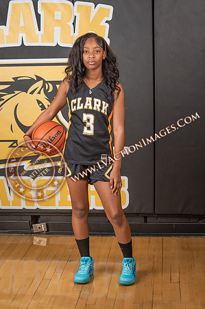 ClarkJVWomenBBall_069