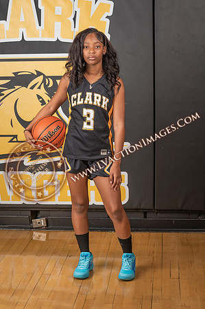 ClarkJVWomenBBall_070