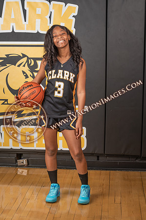 ClarkJVWomenBBall_071