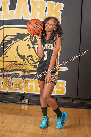 ClarkJVWomenBBall_078
