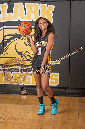 ClarkJVWomenBBall_080