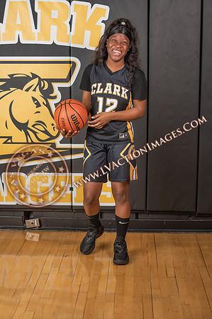 ClarkJVWomenBBall_086