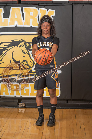 ClarkJVWomenBBall_087