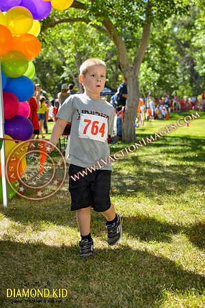 20150606_DK-801
