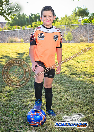 5x7_Carlos_F22 copy