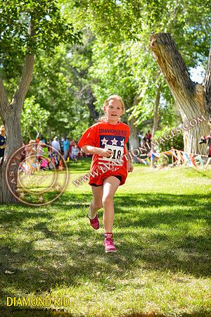 20150606_DK-550