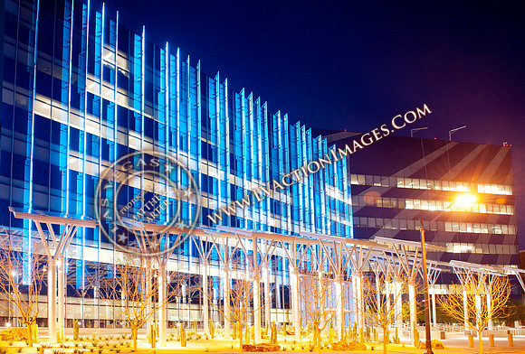 LasVegasCityhall003