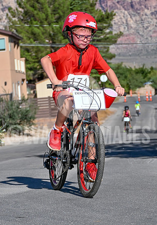 202420240101__DiamondKid__419