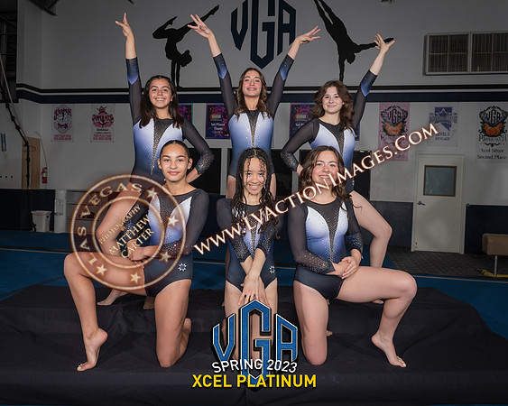 XLPlatinum_8x10 copy