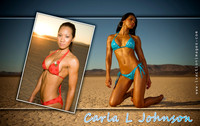 Carla J
