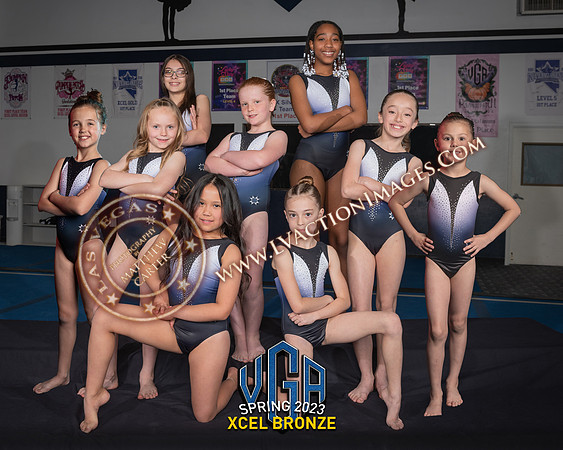 XLBronze_8x10 copy
